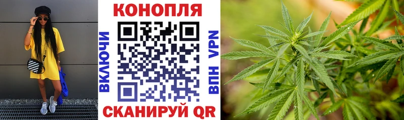 Купить наркоту Новороссийск АМФ  Каннабис  Кокаин  А ПВП  Меф мяу мяу  Гашиш 
