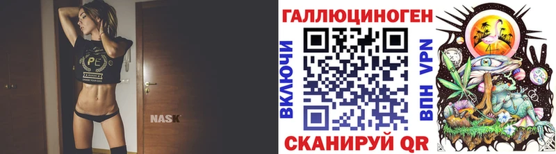 как найти закладки  Новороссийск  Псилоцибиновые грибы прущие грибы 